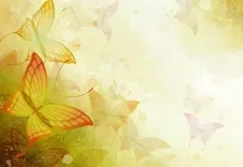 abstract butterflies Art HD Wallpaper